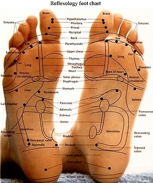 About Reflexology. reflexfootmap